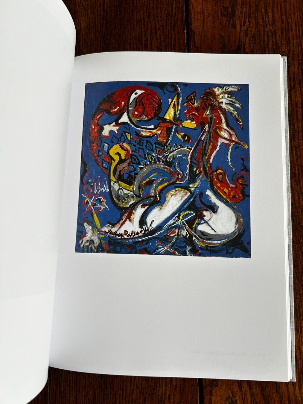Bücher: The Figurative Pollock – Gebraucht aus Basel von Peter_schlemihl 3