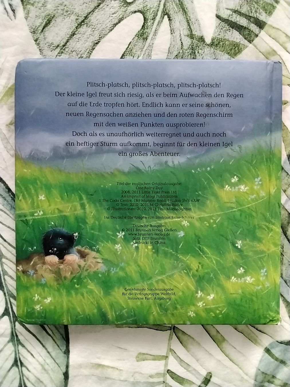 Libri: Der kleine Igel rettet seine Freunde  – Usato da Balterswil venduto da Meerdeern 2