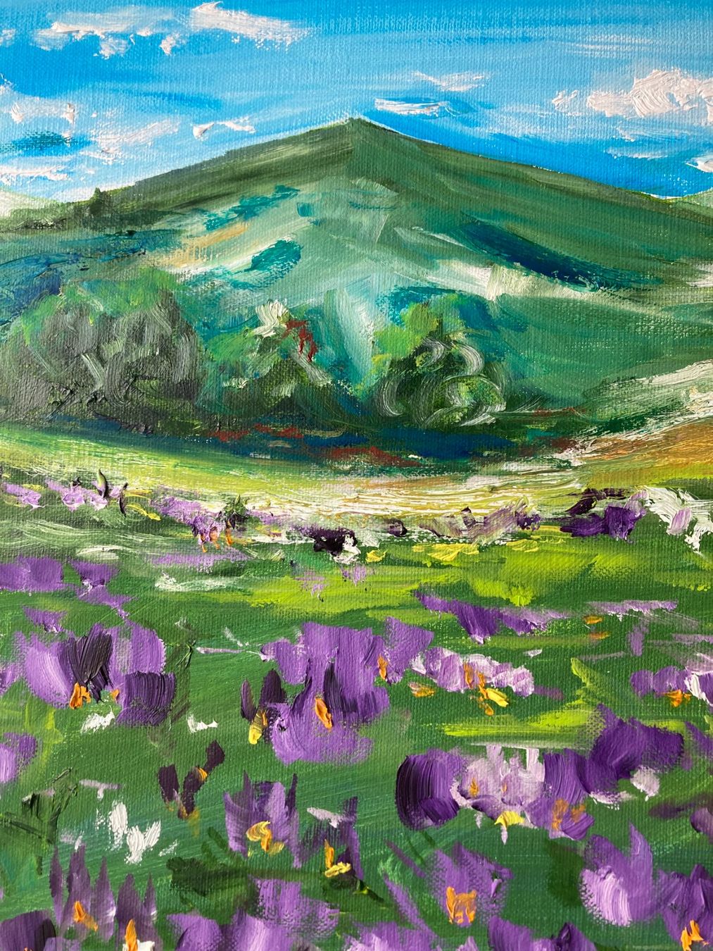 Dipinti: Berglandschaft mit Blumenwiese, Original Ölgemälde – Nuovo (secondo la descrizione) da Cham venduto da Felha 6
