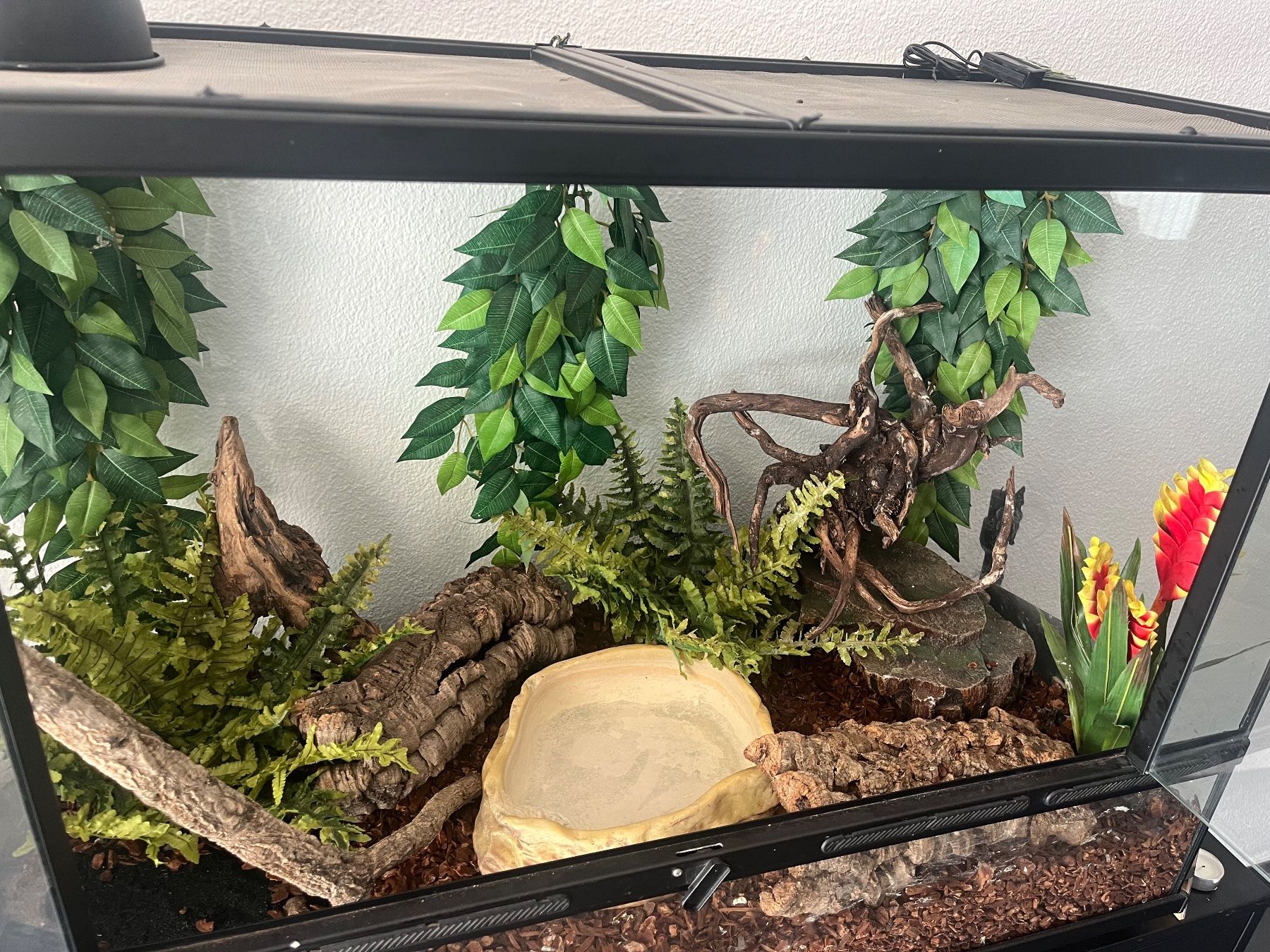 Exo terra Terrario: Terrarium mit Zubehör – Usato da Jonen venduto da lisscatho 1