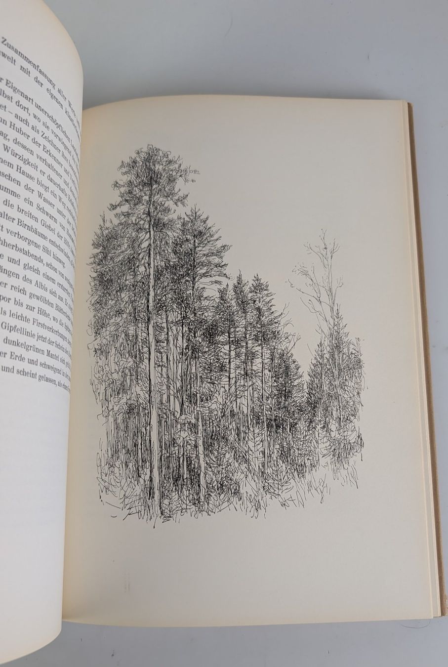 Libri: Das Buch vom Sihltal, Gottlieb Heer. 1948 – Usato da Zürich venduto da axolottchen 8