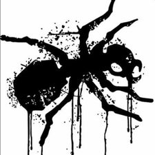 Profile image of Dpezzi8