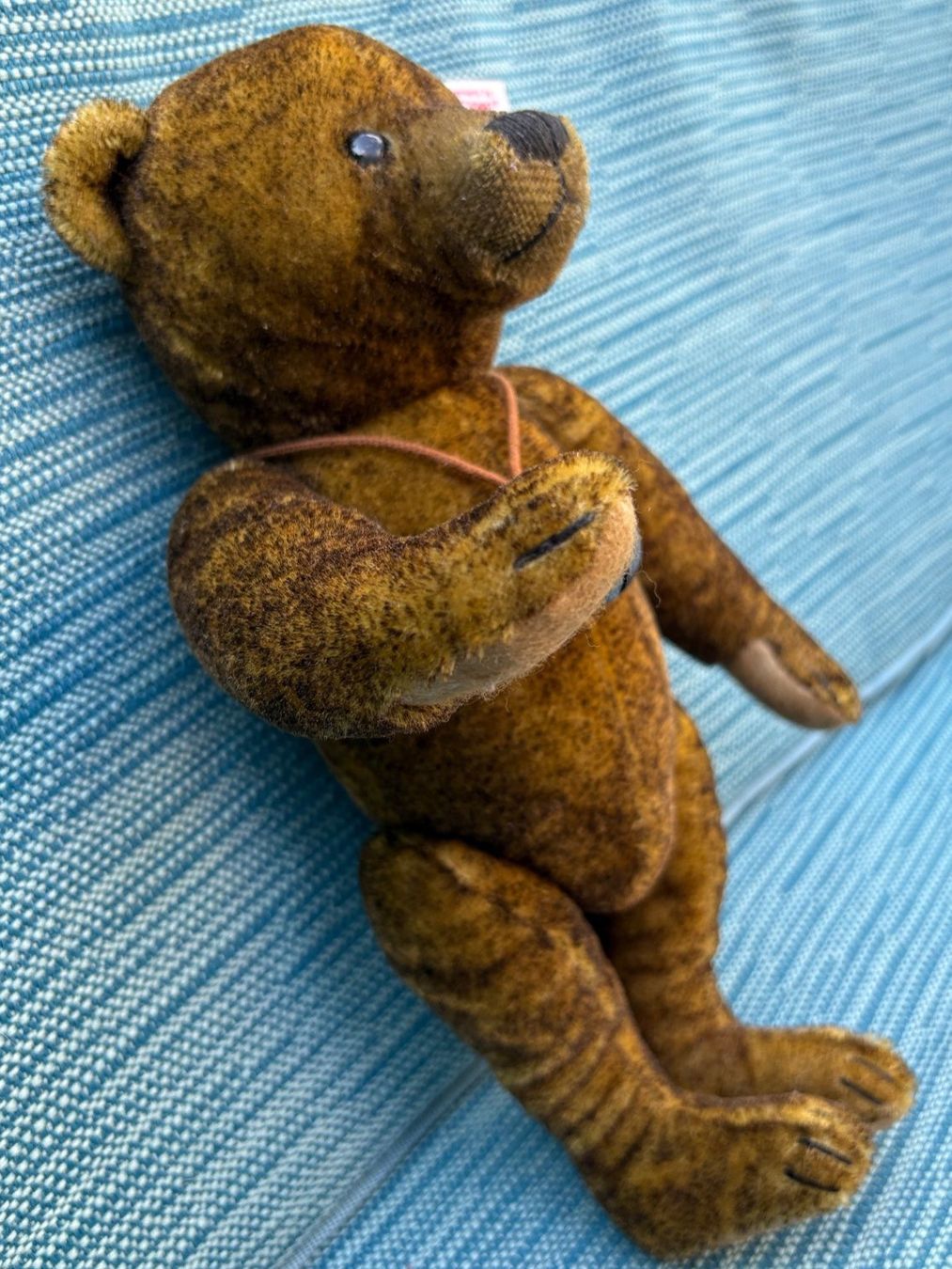Steiff Spielzeuge: Steiff Teddy Dante Limited Edition – Gebraucht aus Winterthur von reg_ld2g 1