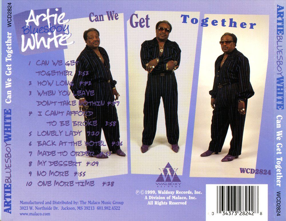 CD: Blues CD: Artie "Bluesboy" White "Can we get together" – Usato da Hochfelden venduto da mue_lhm9 2
