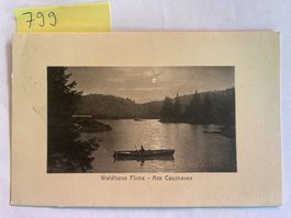 alte Ansichtskarte Waldhaus Flims Am Caumasee, 1918