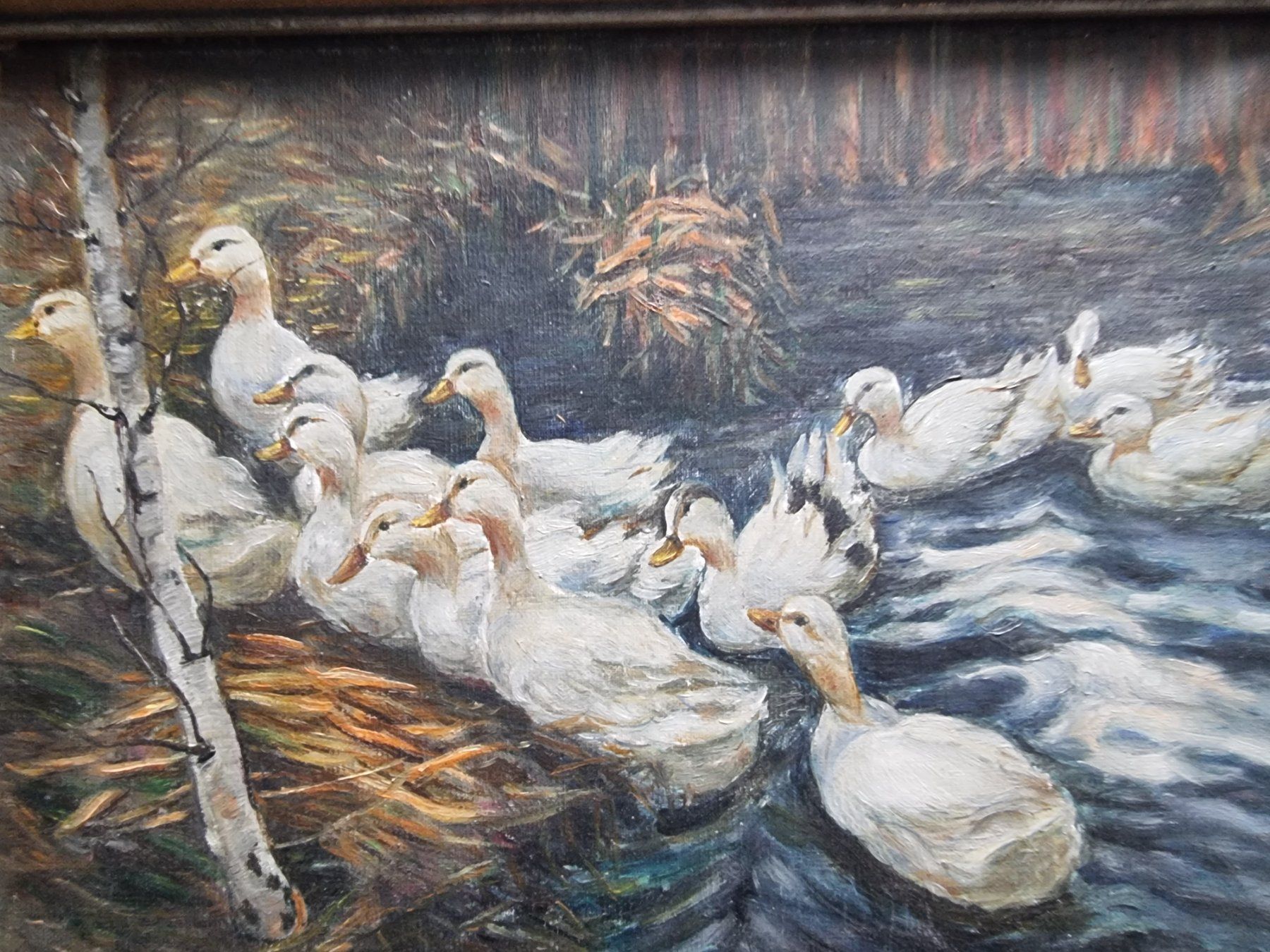 Gemälde: GEMÄLDE MIT ENTEN AUF KEILRAHMEN MIT RAHMEN – Gebraucht aus Gersau von kunst-online