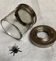 Boîte loupe ancienne  d’ entomologiste  -  début XXème