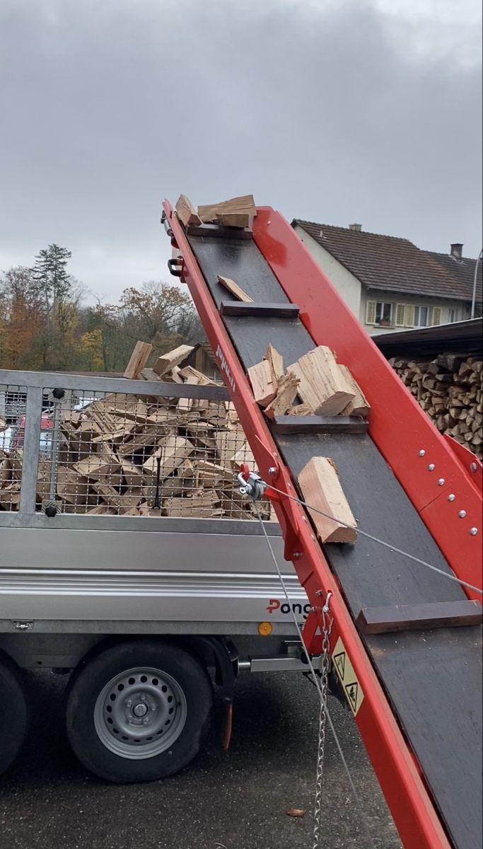 Tutte le macchine: Sagspalter Japa 365+ Pro – Usato da Auenstein venduto da Allround2019 4