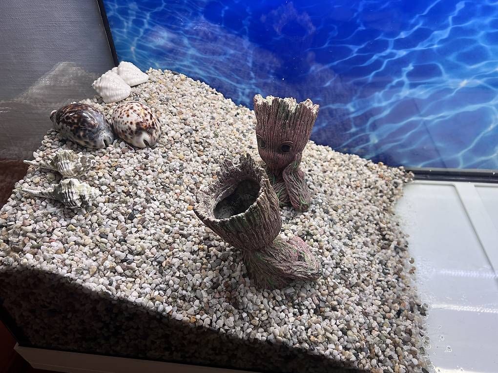 Acquari: Aquarium – Usato da Wichtrach venduto da sefom 2