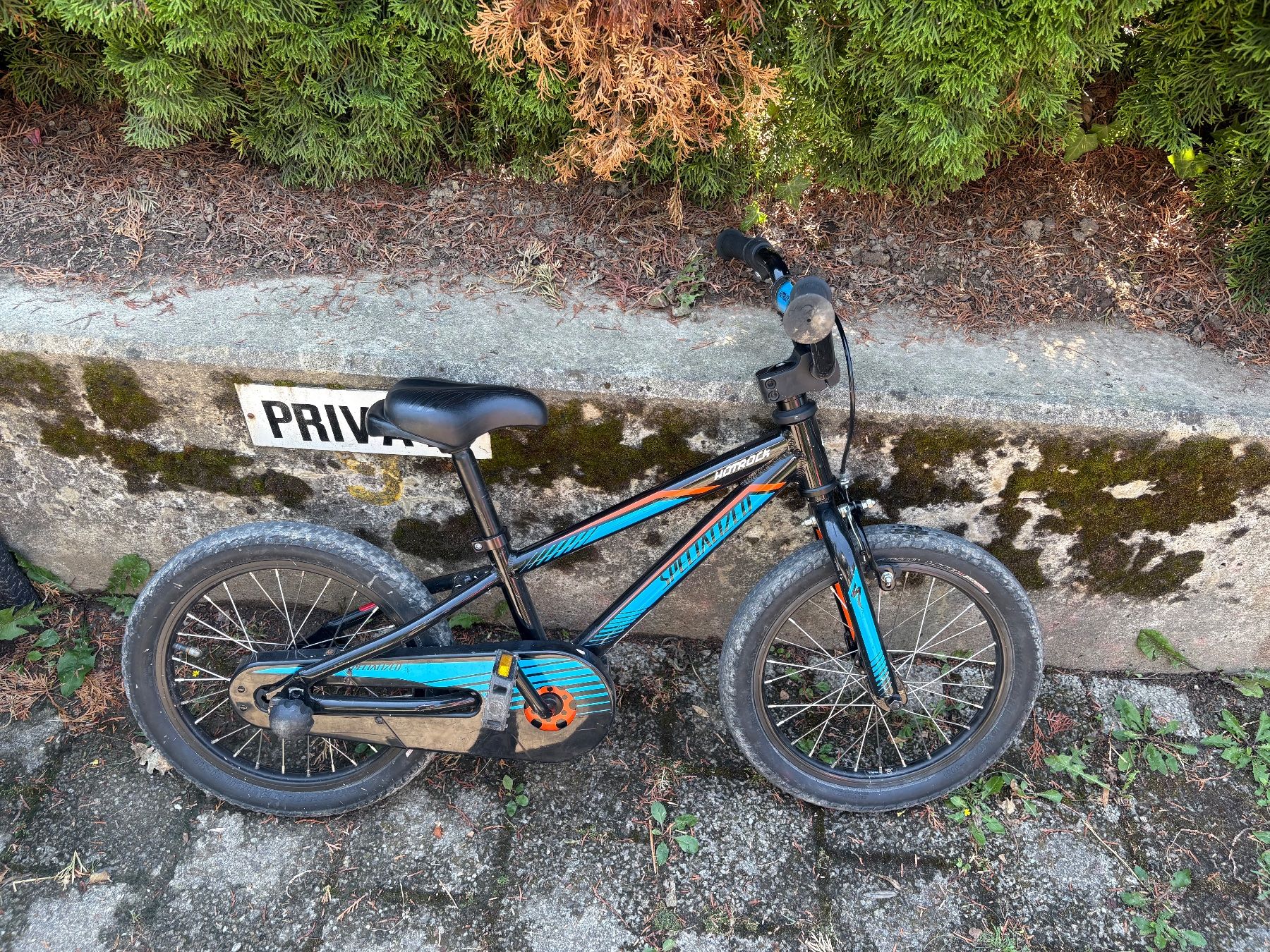 Specialized Biciclette: Kindervelo 16“ – Usato da Kerzers venduto da chassotce 1