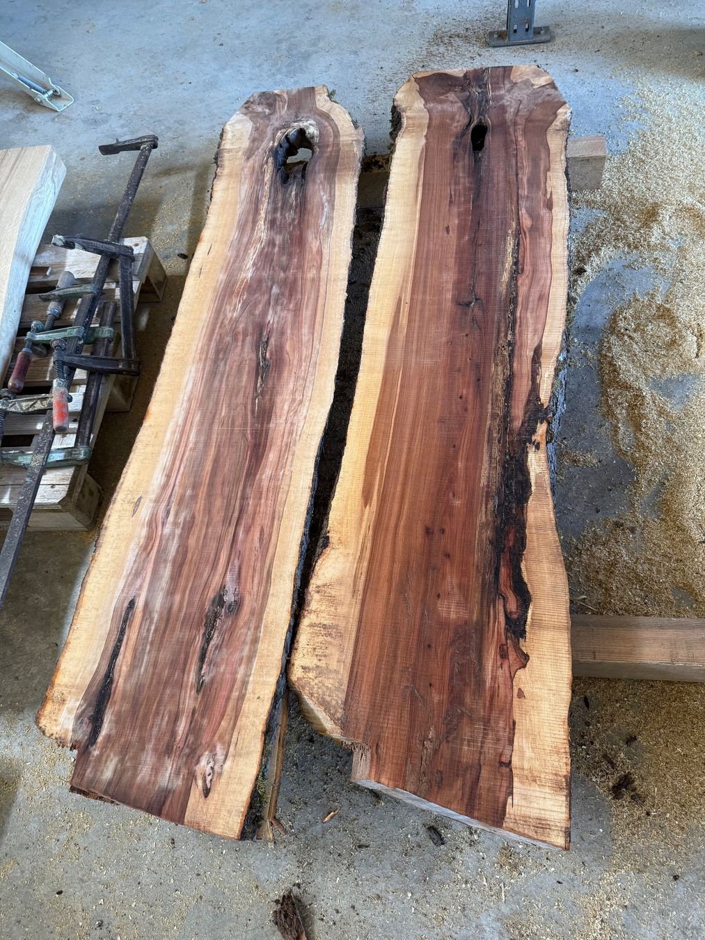Articoli in legno: Apfelbaum Bretter Stamm – Nuovo (secondo la descrizione) da Holziken venduto da Timbergrizzly 1