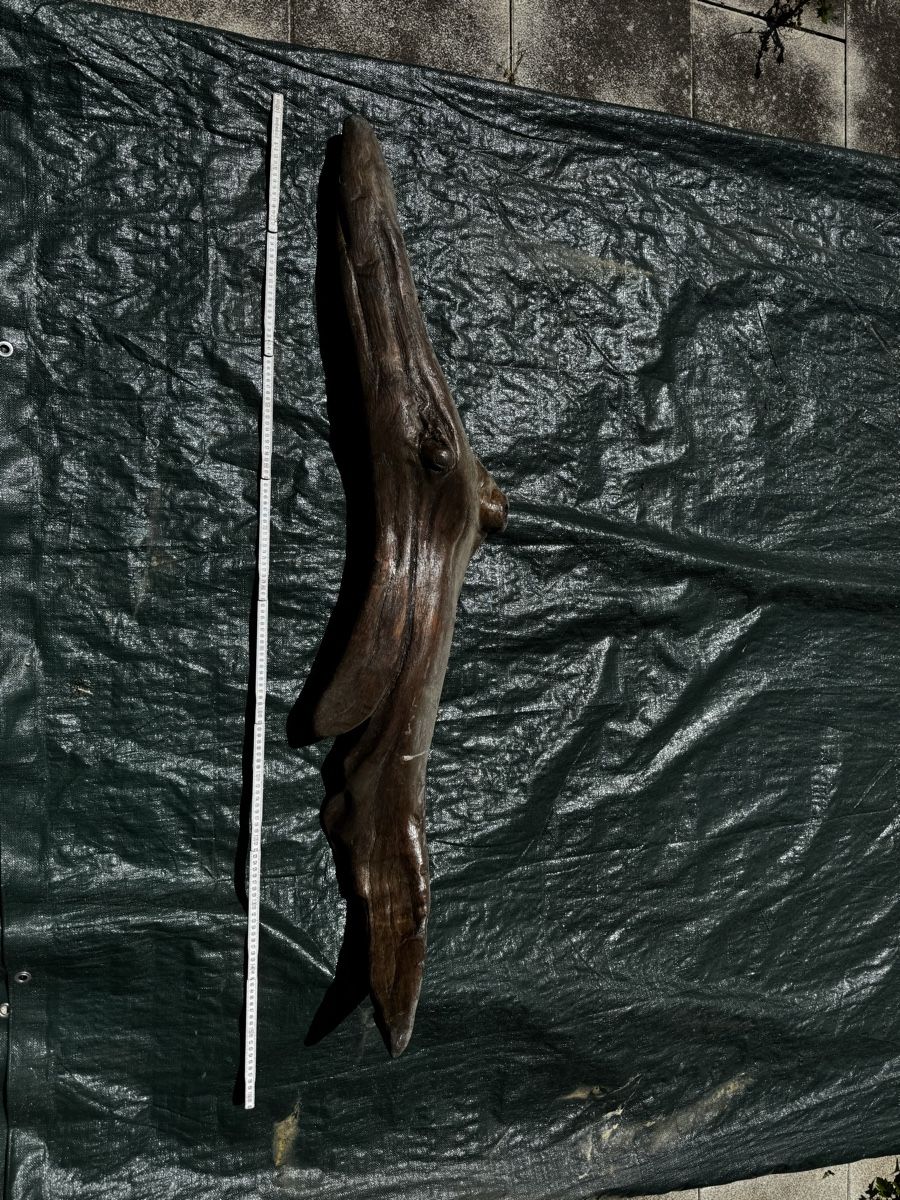Skulpturen & Statuen: Schwemmholz Wal oder Delphin  – Gebraucht aus Gelterkinden von seb_8jzy