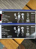 ZZ TOP 2 Tickets Golden Circle