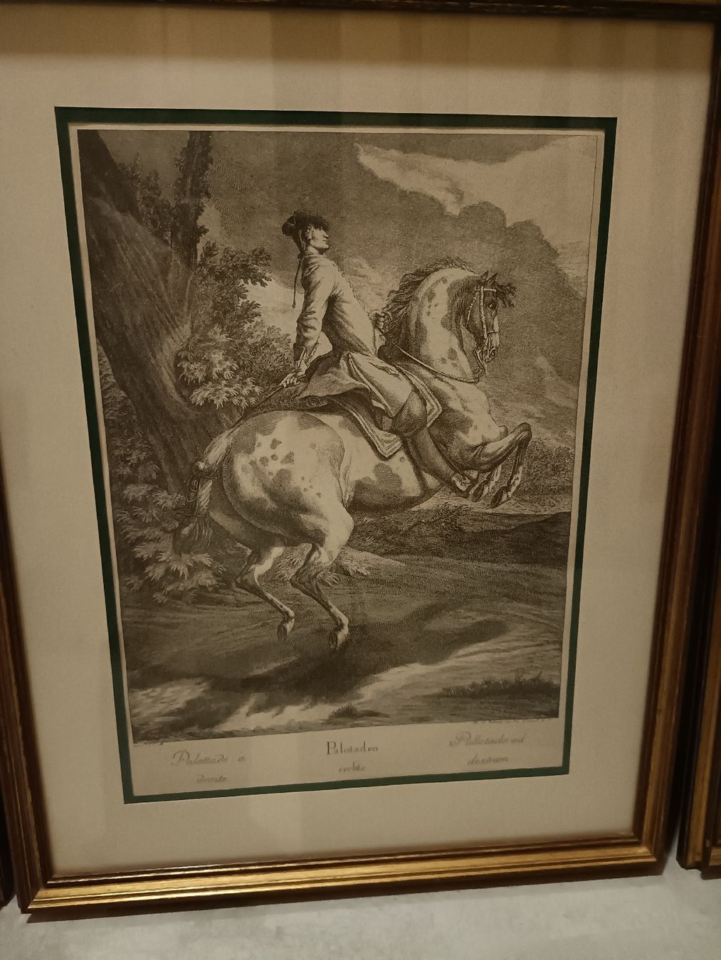 Foto & Immagini: Bilder von Johann Elias Ridinger – Usato da Bergdietikon venduto da Bico01 2