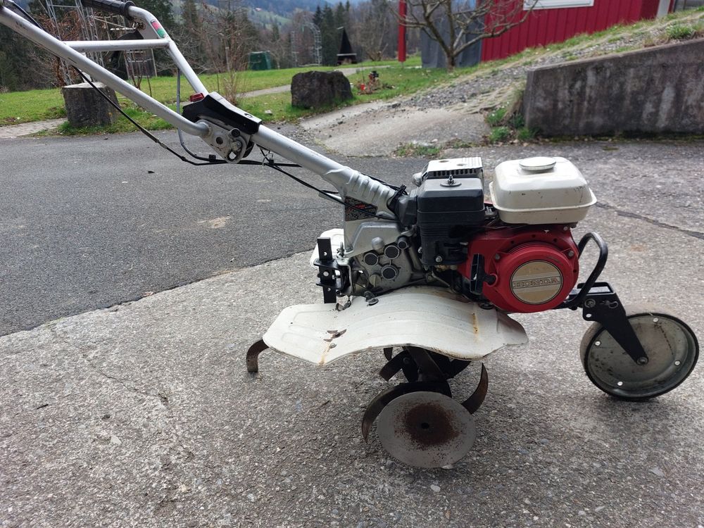 Motorhacke Honda F310 Kaufen auf Ricardo