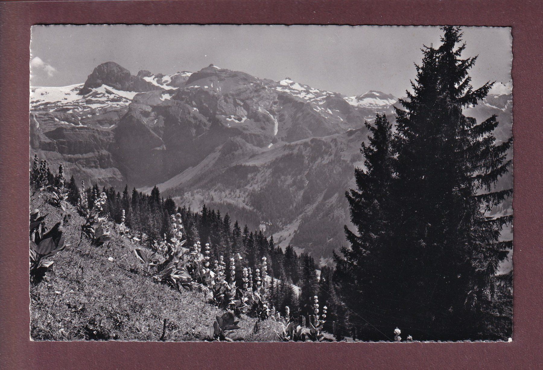Cartoline postali: Gasthaus BÜHLBERG ob Lenk - 1968 – Usato da Pully venduto da nicecards