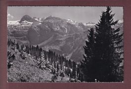 Gasthaus BÜHLBERG ob Lenk - 1968