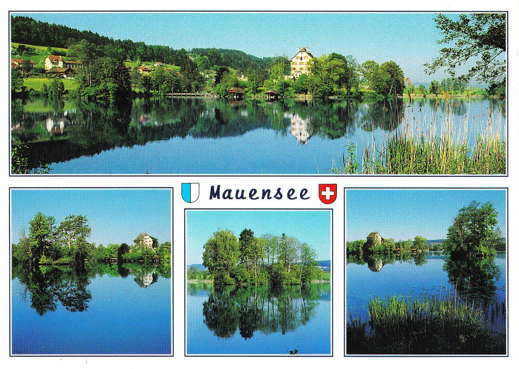 Ansichtskarten: Mauensee ungelaufen, um 1978 – Neu (gemäss Beschreibung) aus Obfelden von Funke2