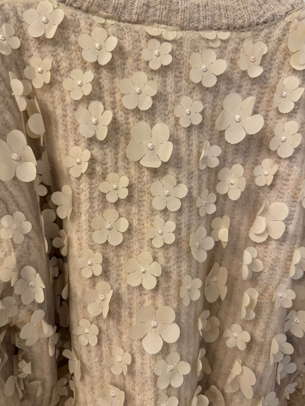 Zara Maglioni & Felpe: Pull Zara Ts – Usato da Conches venduto da chn_hgl6 2