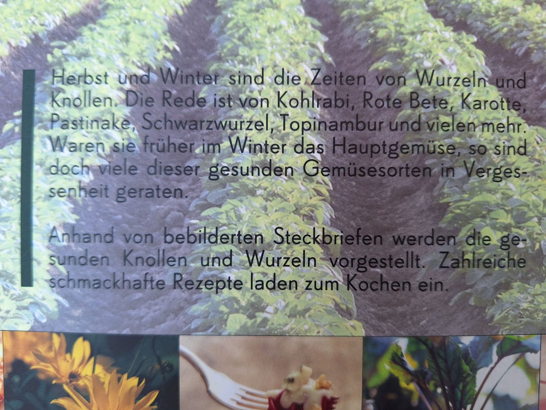 Livres: 7 STK GETREIDE-  UND GEMÜSEKOCHBÜCHER – D'occasion à Huttwil par Kunterbuntli 3