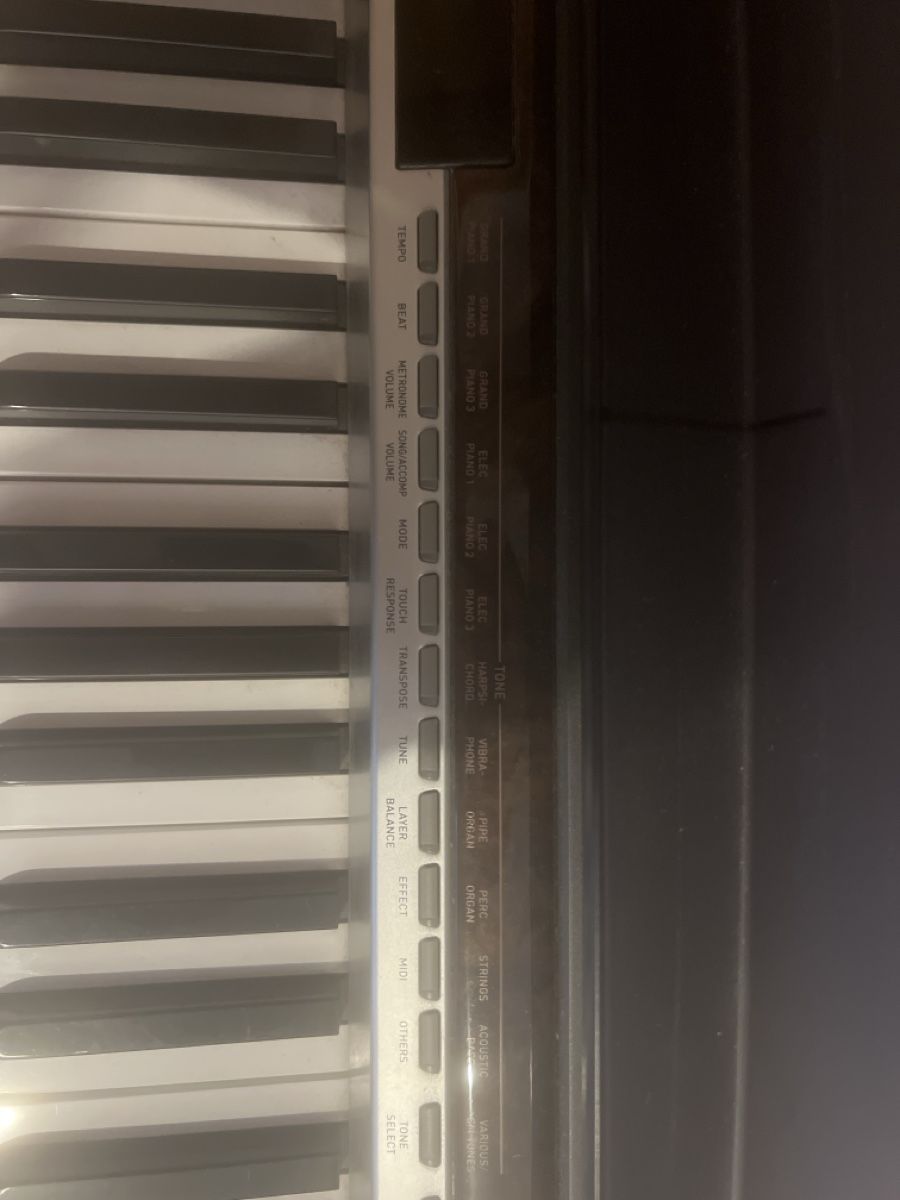 Casio Strumenti musicali: E-Piano – Usato da Bremgarten AG venduto da Anna1999999 2