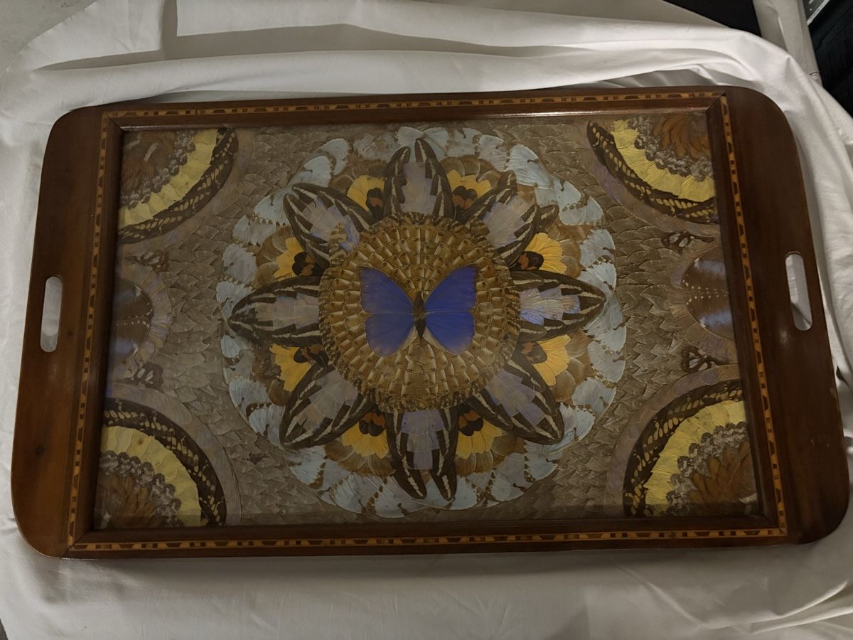 Poster & Bilder: Brasilianisches Morpho Schmetterlingsflügel-Tablett – Gebraucht aus Schlieren von pauley102