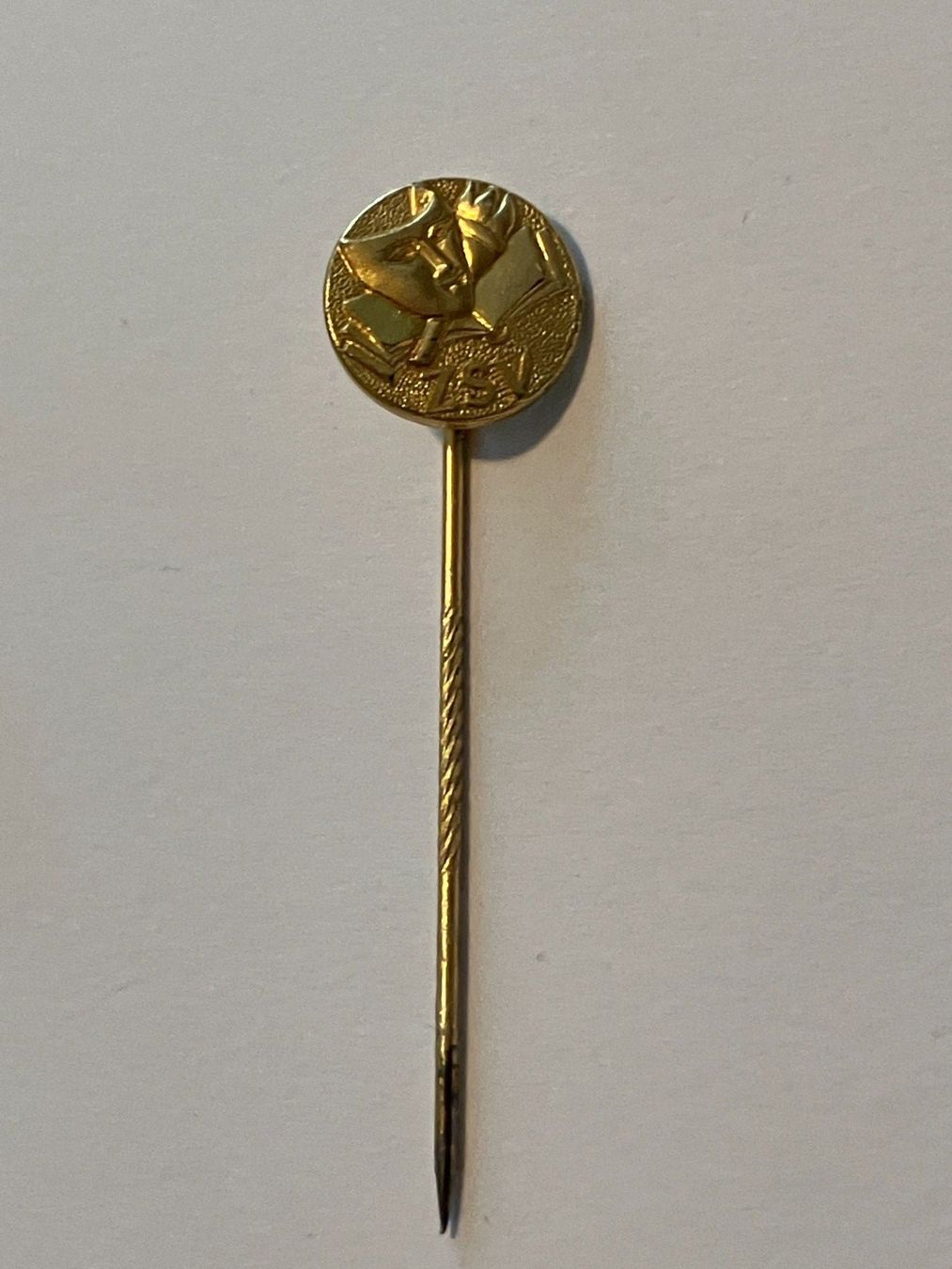 Placchette & Badge: 1 Stocknadel ZSV – Usato da Basel venduto da djwwpp 1