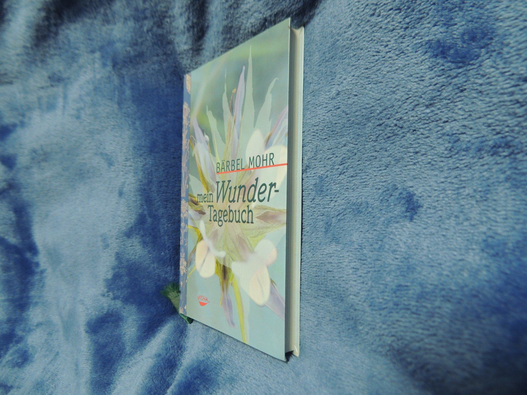 Libri: Mein Wunder Tagebuch – Usato da Mollis venduto da Hg 1