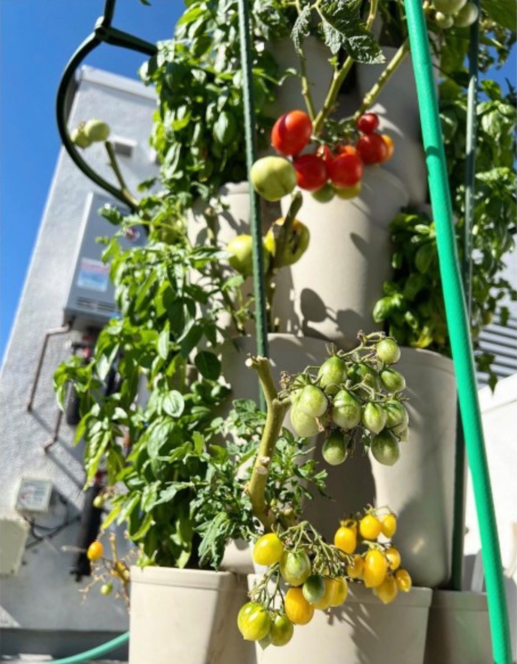 Vasi per fiori: Erdbeerturm 5-stufig / Pflanzenturm – Nuovo e nell'imballaggio originale da Galgenen venduto da Fx122 3
