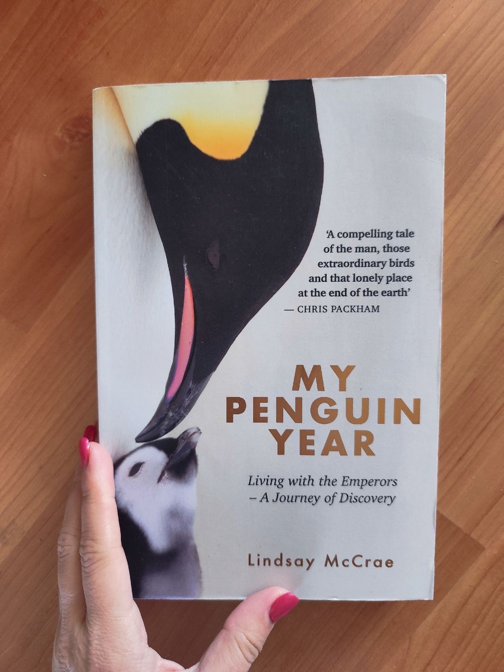 Libri: My Penguin Year Lindsay McCrae  – Usato da Mägenwil venduto da VintageGirly