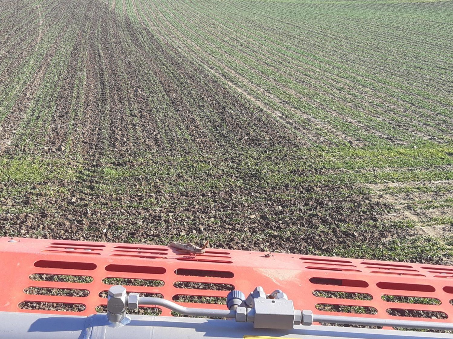 Traktoren: 3m Madara Rotorhacke – Neu (gemäss Beschreibung) aus Grosswangen von claas-jaguar 6