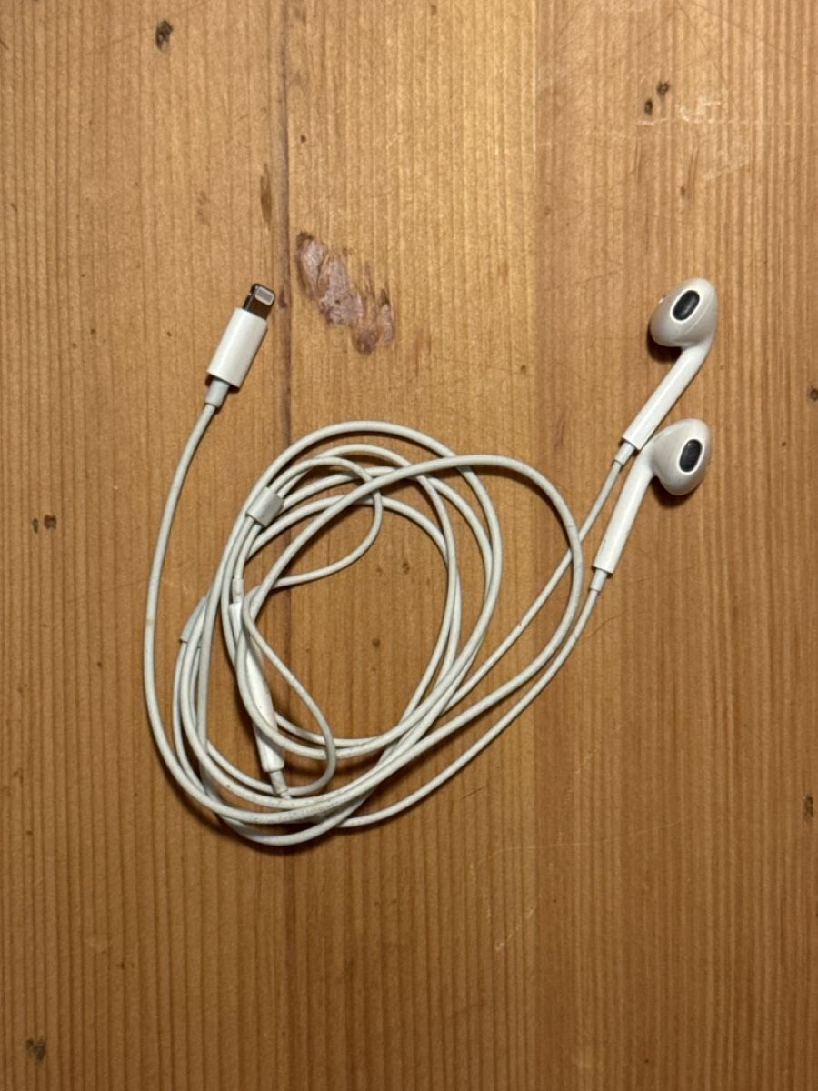 Apple Kopfhörer: Apple EarPods (Lightning) – Gebraucht aus Zürich von hel_l6dj