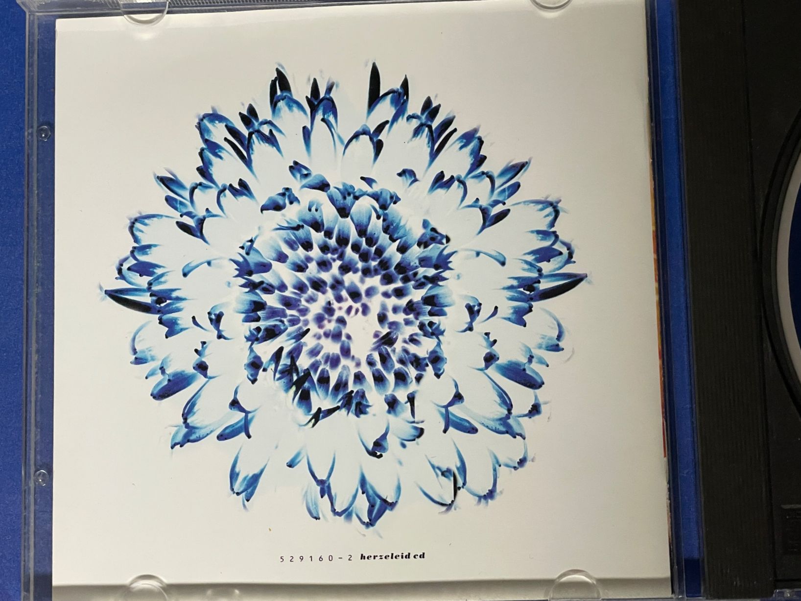 CD: Rammstein - Herzeleid – Usato da Muri b. Bern venduto da AdidasCollector 3