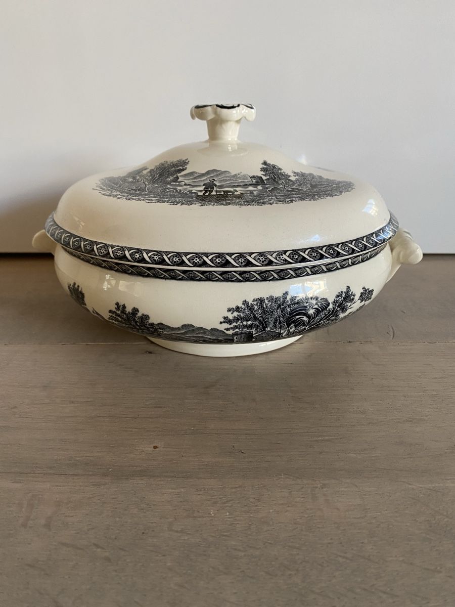 Wedgwood Ciotole: Wedgwood Lugano Deckelschale – Nuovo (secondo la descrizione) da Luzern venduto da Sohan