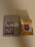 WM 26 Panini Stapel