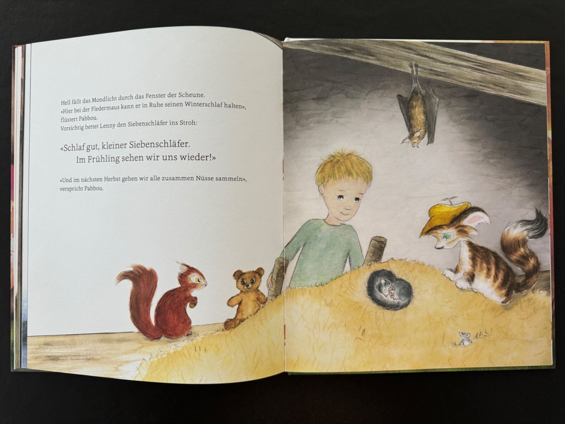 Libri: 2 x Kinderbuch - Kater Pabbou – Nuovo (secondo la descrizione) da Zollikon venduto da Krenapf 5