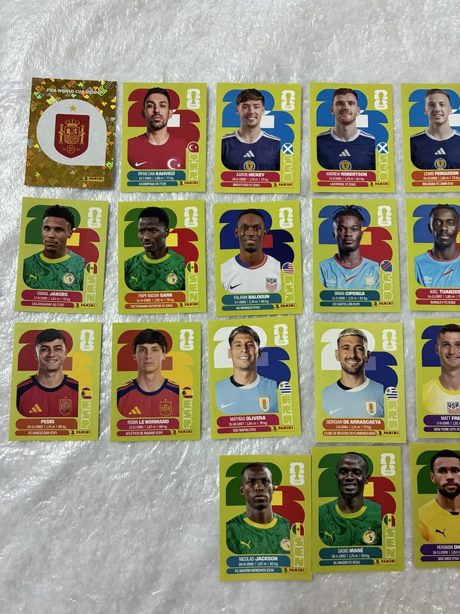 Panini Carte collezionabili: Panini WM 2024 Sammelbilder – Usato da Emmen venduto da paesu6 2