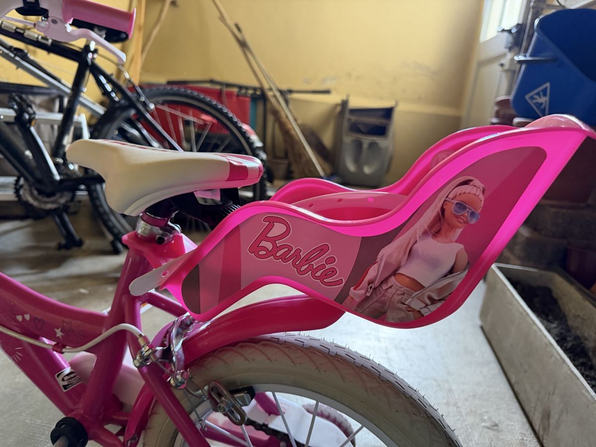Vélos: Bicycle for a girl – D'occasion à St-Légier-Chiésaz par arielbokser 1