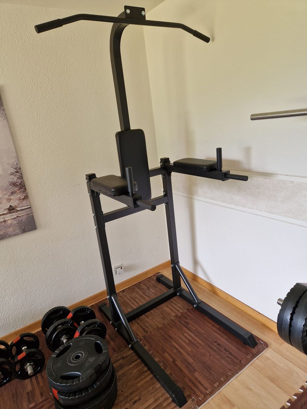 Hometrainer: Dip- und Klimmzugstation – Usato da Schänis venduto da bec_8wkq