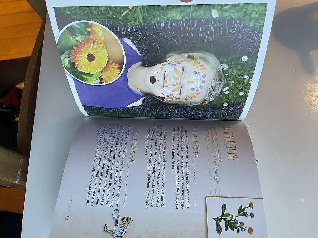 Libri: Kräuternest (Buch) Iris Theres Lins – Usato da Nesslau venduto da philgujer1 3