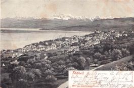 Thalwil ZH // 1902 Litho Dorf Fabriken Alpen Zürichsee