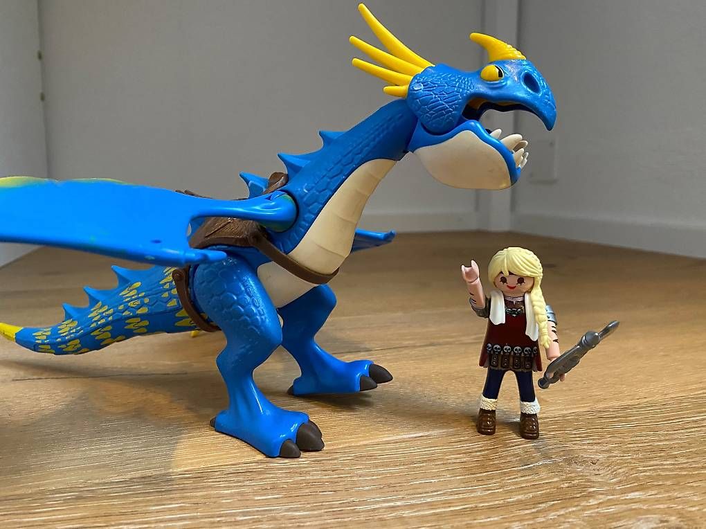 Spielzeuge: Playmobil Drachenzähmen – Gebraucht aus Steinach von Susansung