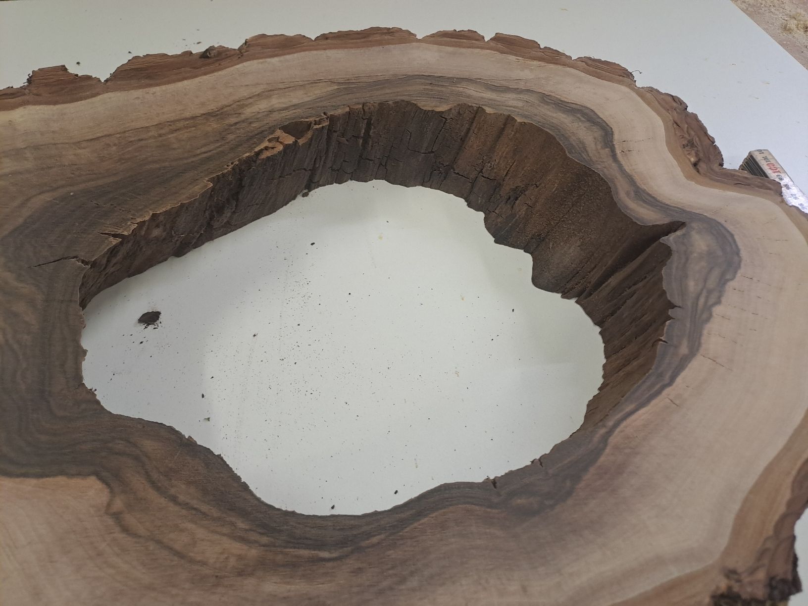 Articoli in legno: nussbauscheibe 620 x 450x 54mm – Nuovo e nell'imballaggio originale da Illnau venduto da adi711 3