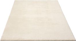 Einzelstück TOP PREIS- XXXL Teppich Super Soft 240x340 BEIGE