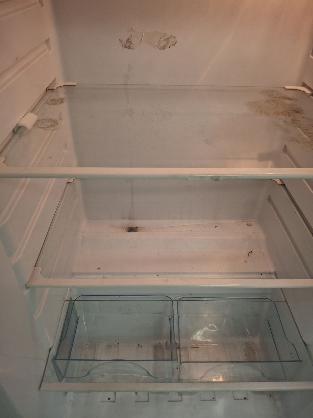 Frigoriferi: Nordfrost Kühlschrank mit Gefrierfach, schmutzig – Usato da Fislisbach venduto da HurtiBrocki 7