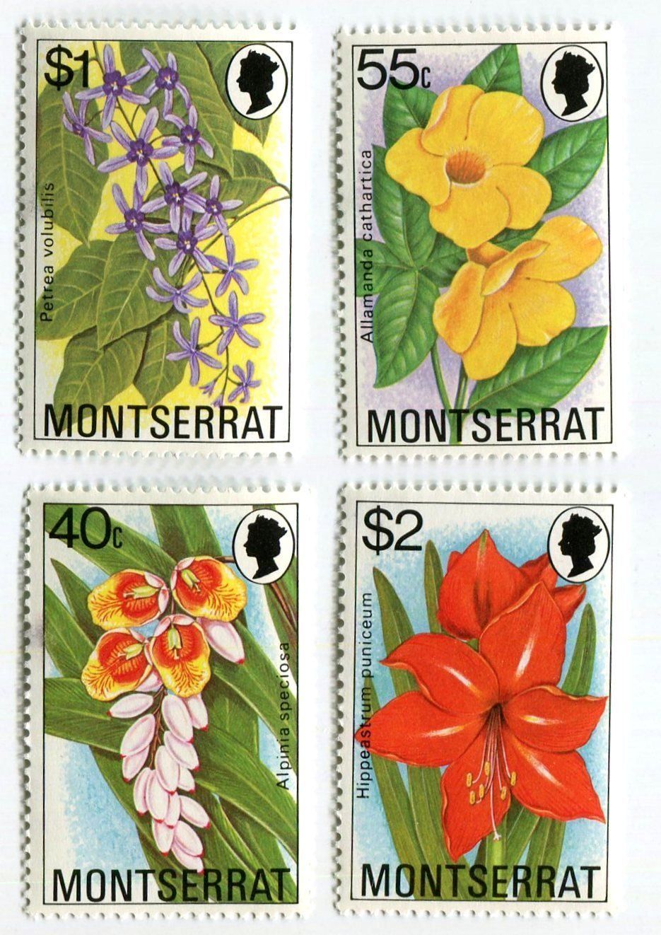 Tous les timbres: Briefmarken "Blumen". Montserrat. – Neuf avec emballage d'origine à Basel par Butsch5