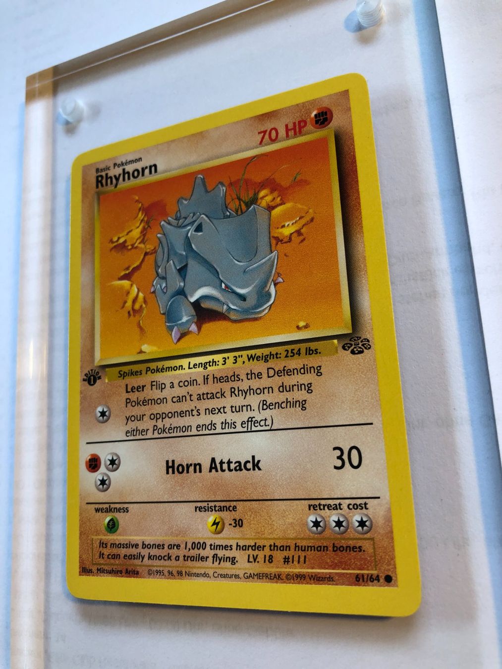 Carte collezionabili: Rhyhorn 1st Jungle - MINT - ab 1.- – Usato da Giubiasco venduto da dan_pr8b 2