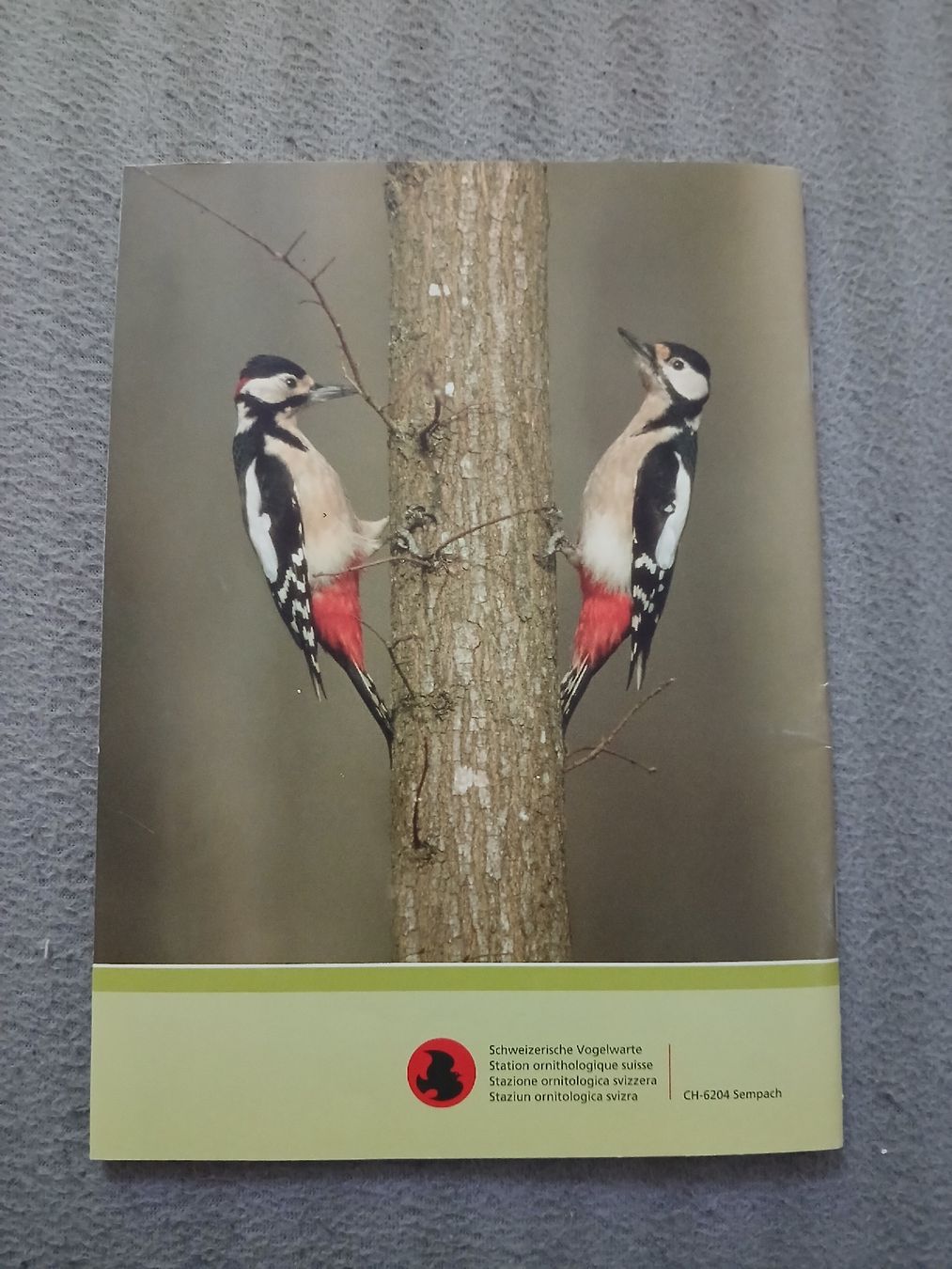 Libri: Livre "Oiseaux de nos jardins" – Usato da Le Sentier venduto da arc_2thy 1