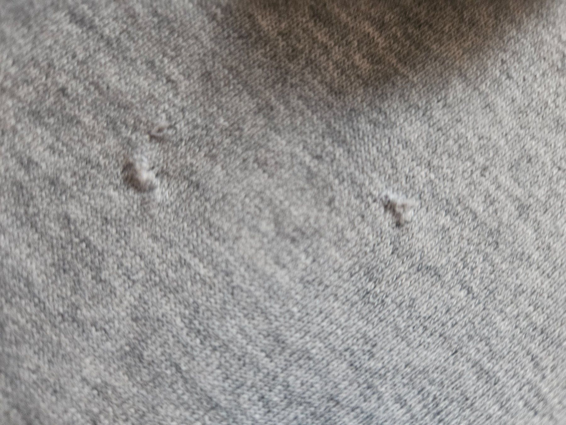 Molo Pulls et sweat-shirts: Toller Molo Longpulli 134/140 Hasen – D'occasion à Rifferswil par fle_5nqr 3