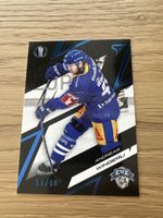 Sportzoo Wingerli 53/60 EVZ Playoffs